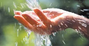 Assim como no caso da baleia azul, não se sabe exatamente como os desafios começaram e até que. Preservacao Da Agua Um Desafio Para A Sociedade Agencia Envolverde