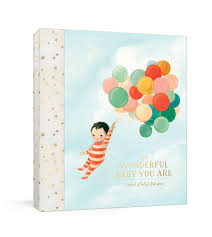 The Wonderful Baby You Are A Record Of Baby S First Year Baby Memory Book With Milestone Stickers And Pockets Martin Emily Winfield 9780525574583 Amazon Com Books