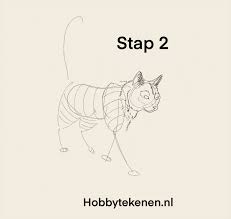 Maybe you would like to learn more about one of these? Realistische Kat Leren Tekenen Hobbytekenen Nl Hobbytekenen Nl