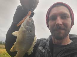 Not entirely sure with that hybrid mic man is.