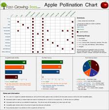Apple Pollination Chart Infographic Infographics Showcase