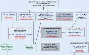Cytomegalovirusinfektion In Der Schwangerschaft Springerlink