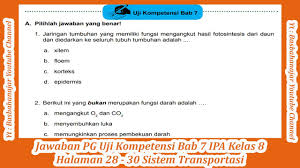 Check spelling or type a new query. Jawaban Pg Uji Kompetensi Bab 7 Ipa Kelas 8 Halaman 28 30 Sistem Transportasi Youtube