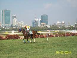 Royal Western India Turf Club Mumbai 2021 All You Need To Know Before You Go With Photos Tripadvisor Race preview for the races to be run on 23 february 2020 at the royal western india turf club. tripadvisor