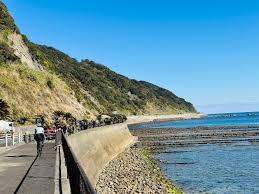 Image result for +bikyakudaimaou