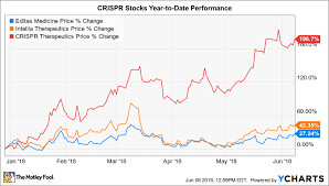 Heres Why The Top Crispr Stocks Rose As Much As 47 1 In