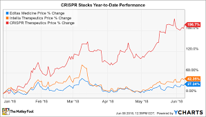 heres why the top crispr stocks rose as much as 47 1 in