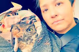 Animals Who Mate For Life