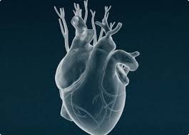 Image result for Atrial Fibrillation