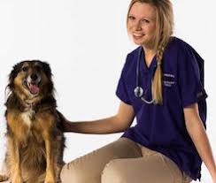 Formulated to nourish and support joints. Extend Joint Care For Dogs Review We Asked A Vet