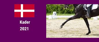 Straßenrennen •badminton 7.15 tischtennis 7.30 kunstturnen 8.30 schießen 9.15 handball 9.45 bogenschießen 10.00 reiten 11.00 tennis 11.45 olympia olympia update 12.00 olympia live 12.05 hockey •schwimmen 12.30 kunstturnen 13.00 beachvolleyball 13.55 fechten 14. Danischer Kader 2021 Rimondo