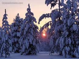 Santatelevision Santa Claus Tv In Lapland Finland Since 2000 Rovaniemi Lapland Lapland Finland Snowy Trees