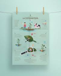 Fotosintesis By Jogo On Behance Infographic Design Graphing Infographic