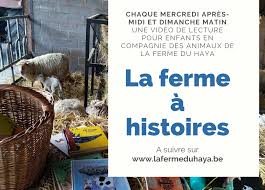 Venez discuter de vos animaux de la ferme: La Ferme A Histoires C Est Tous Les Mercredis Et Dimanches Pendant Le Confinement La Ferme Du Haya