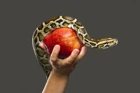 When We Understand It Wrong Scripture Iamsignificant Ca Spiritual Care Arm Challenge Crossfit At Home