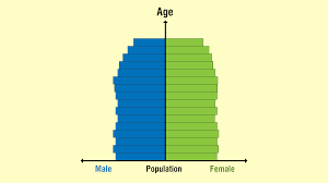 You can get this afghanistan age pyramid 2019 on your site. The Different Types Of Population Pyramids Explained With Examples Opinion Front