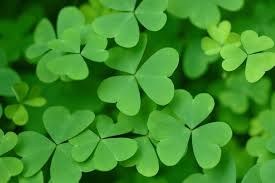 Patrick's day is celebrated on march 17 because it's the day that: St Patrick S Day 2021 History Folklore Recipes And More The Old Farmer S Almanac