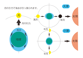 日本海事広報協会