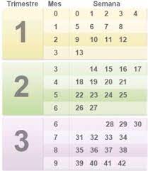 Cuantas Semanas Dura El Embarazo O Cuantos Meses Club Bebes De Febrero De 2016 Babycenter