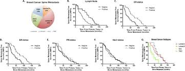 The liver is a common area of the body to which breast cancer cells spread. Outcomes And Prognostic Factors For Surgically Treated Patients With Breast Cancer Spine Metastases Sciencedirect