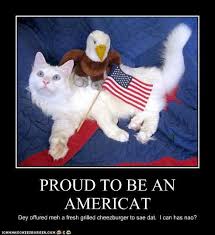 Funny 4th of july captions. 7 Fourth Of July Safety Tips For You And Your Pets Funny 4th Of July Happy Fourth Of July Patriotic Cat
