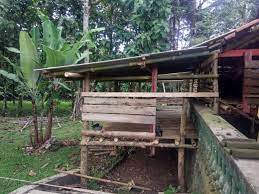 We did not find results for: Kandang Sederhana Milik Sukses Ternak Kambing Domba Facebook