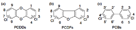 A member of a family of highly toxic chlorinated aromatic hydrocarbons; Basic Chemical Structure Of Polychlorinated Dibenzo P Dioxins A Download Scientific Diagram