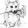 Find the best dog coloring pages for kids & for adults, print 🖨️ and color ️ 221 dog coloring pages ️ for free from our coloring book 📚. Https Encrypted Tbn0 Gstatic Com Images Q Tbn And9gctyfdwmmgdu18lzq3lysxxancjilv9gauspy6gchxplvqamjblz Usqp Cau