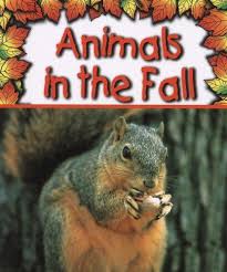 Animals In The Fall Preparing For Winter Fall Preschool Activities Preschool Books Fall Kindergarten