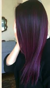 Since my hair salon has been closed for months and i'm not seeing anyone in real life besides my family, i decided to take the plunge and dye my hair purple at home. Pinterest Ashliwankhanobi Pretty Hair Color Hair Styles Plum Hair
