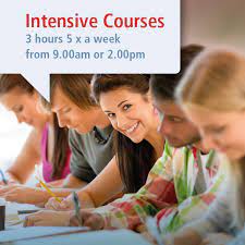 Whether you want to learn conversational german, become a fluent german speaker, or get ready for a trip to a german speaking country, udemy has a course to help you develop your german skills. Intensive German Course Iki German Courses Learn German In Vienna