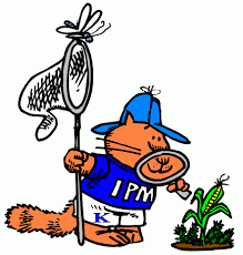 Don't put the health of your employees, clients and visitors and the reputation of your company at risk. Integrated Pest Management Ipm Principles Advantages And Limitations Public Health Notes