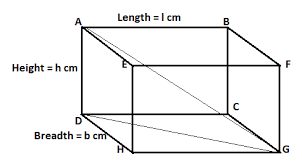 How do you calculate the length of a cube? The Sum Of The Length Breadth And Height Of A Cuboid Class 9 Maths Cbse