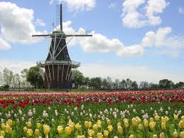 Tulip time festival is an annual festival held in holland, michigan. Take Trip To Michigan For Famous Tulip Festival Travel Qctimes Com