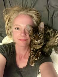 Bengal cat appearance and features