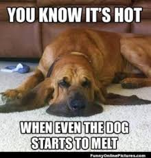 melt