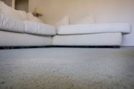 Head Lice Burrow Not Only Into Your Scalp And Hair But Also Into The Fibers Of Your Carpet Carpet Cleaning Quote Lice Spray For Furniture Diy Furniture Spray