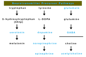 a second serving of neurotransmitters please reality bites