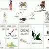 Peristiwa hal yang aneh, yang menurut anda ganjil atau jarang anda lihat sebelumnya atau kode alam disini bisa bermacam macam bentuknya. Https Encrypted Tbn0 Gstatic Com Images Q Tbn And9gcrs8wxa925vtjjwr4xisqdljx8wa4hwep Tb Wqocjsx3e8l6ba Usqp Cau