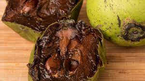 Beneficios Del Zapote Negro Baja Foodie