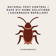 There are ways to keep insect pest populations at a controlled level without ever using any harmful substances. Natural Pest Control By Donald Eide Audiobook Audible Com