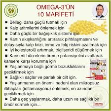 Omega 3 Un 10 Marifeti Bu Yazi Bugunku Hurriyet Gazetesinde Prof Dr Osman Muftuoglu Nun Kosesinden Bu Yaziya Gecmeden O Words Word Search Puzzle Instagram