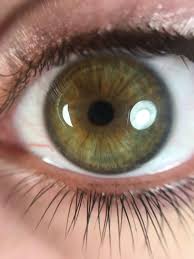 Dark Winter Eye Dark Hazel Eyes Dark Green Eyes Olive Green Eyes