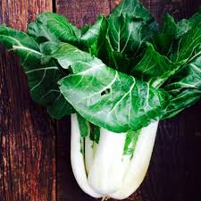 Kohlrabi And Bok Choy Slaw Recipe Slaw Kohlrabi Bok Choy