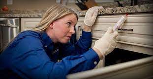 The all american pest control edge. American Pest Maryland Home Pest Control Experts Since 1925