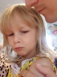 Stolen Nuna Stroller in Hamilton Upper James Area