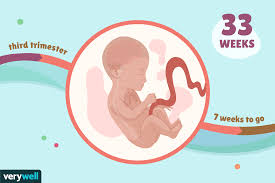 If you are carrying twins or multiples, your uterus will start growing and stretching sooner. 33 Weeks Pregnant Baby Development Symptoms And More