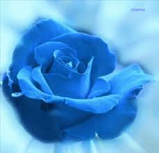 Https Encrypted Tbn0 Gstatic Com Images Q Tbn 3aand9gcqdue1fdilxqifwgnhdrop Voovae Kmiejwq Usqp Cau