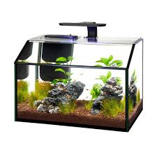 Aqueon Led 8 75 Gallon Shrimp Aquarium Kit Petco 30 Gallon Fish Tank Aquarium Kit Aquarium