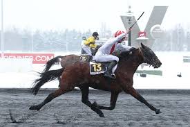Singalo Gagne Le Prix De Cornulier 2013 Cheval De Course Courses Hippiques Hippique